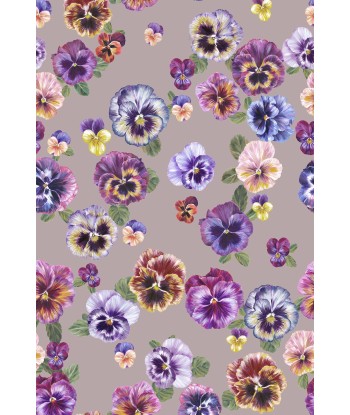 Papier Peint PLETHORA OF PANSIES Bruised Pink Toutes les collections ici