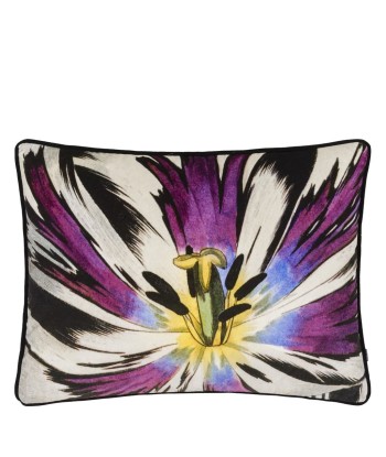 Coussin Eclosion Agate la chaussure