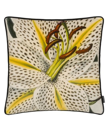 Coussin Flowered Craie vente chaude votre 