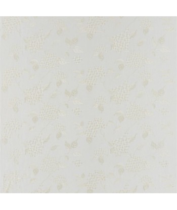 Tissu RL Apsley House Embroidery Vellum Amélioration de cerveau avec