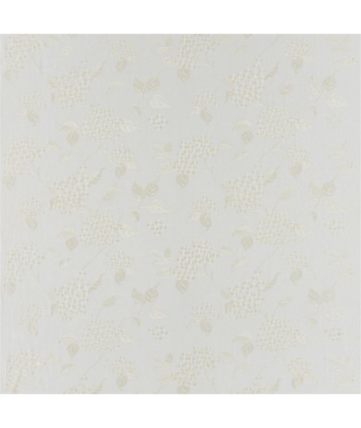 Tissu RL Apsley House Embroidery Vellum Amélioration de cerveau avec