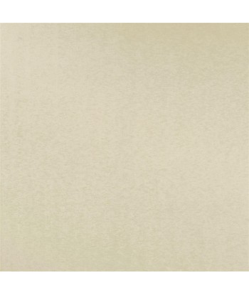 Tissu RL Clotilde Moire Pearl du meilleur 