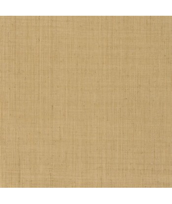 Papier Peint RL Lantana Weave Straw de votre