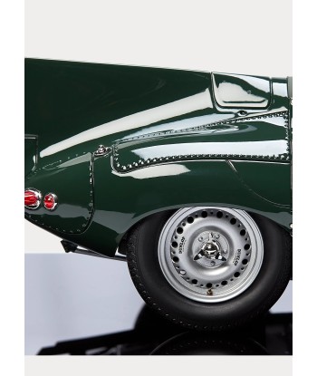 Model Jaguar XKD 1955 Venez acheter