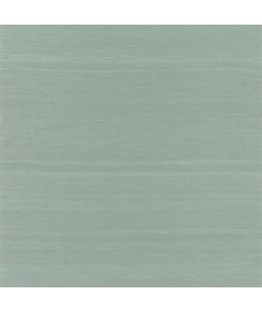 Papier Peint RL Seagrass Weave Tide de votre