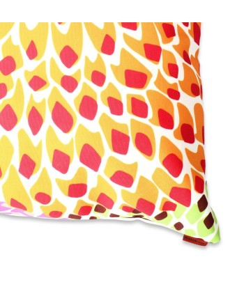 Dalia Rainbow Cushion Toutes les collections ici