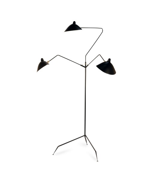 3 Arms Floor Lamp Les êtres humains sont 