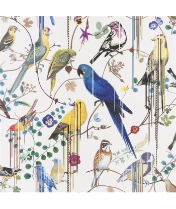 CL Birds Sinfonia Snowdrop Wallpaper en ligne des produits 