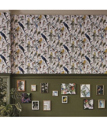 CL Birds Sinfonia Snowdrop Wallpaper en ligne des produits 