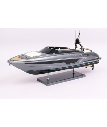 Riva Rivale 59cm Model Kit - Gray Shark l'évolution des habitudes 