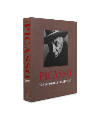 Book Pablo Picasso: Impossible collection Jusqu'à 80% De Réduction