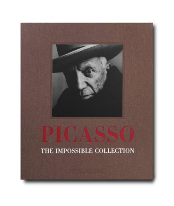 Book Pablo Picasso: Impossible collection Jusqu'à 80% De Réduction