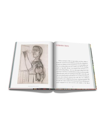 Book Pablo Picasso: Impossible collection Jusqu'à 80% De Réduction