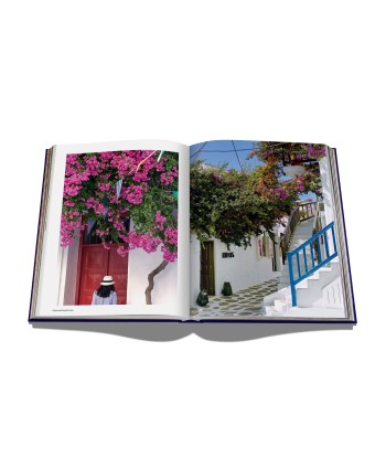 Mykonos Muse Book offre 