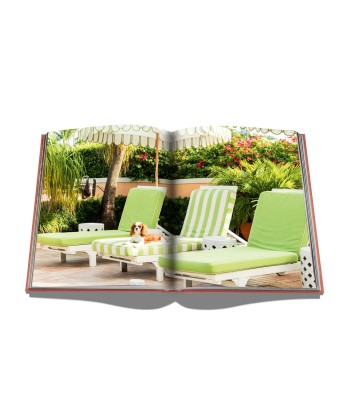 Palm Beach Book basket pas cher