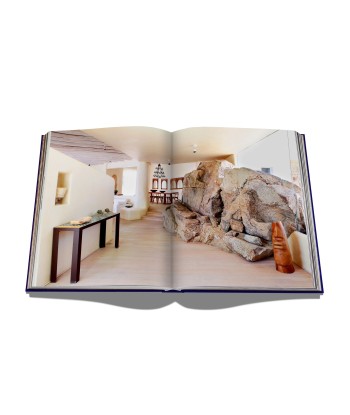 Mykonos Muse Book offre 