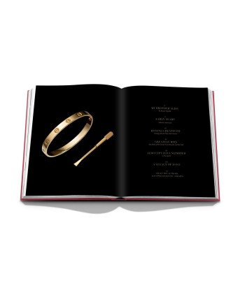 Book Cipullo: Making Jewelry Modern 2023