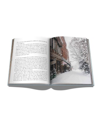 Aspen Style Book en ligne