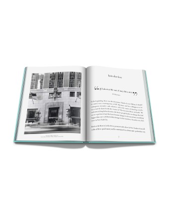 Book Windows at Tiffany and Co.: Impossible Collection Comparez plus de prix