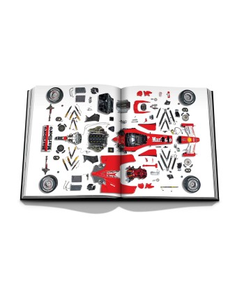 Book Formula 1: Impossible collection les ligaments