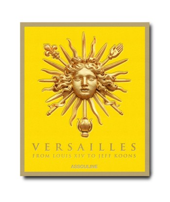 Book Versailles - From Louis XIV to Jeff Koons: Impossible collection Dans la société mordern