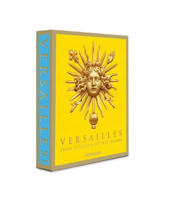 Book Versailles - From Louis XIV to Jeff Koons: Impossible collection Dans la société mordern