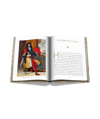 Book Versailles - From Louis XIV to Jeff Koons: Impossible collection Dans la société mordern