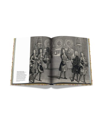 Book Versailles - From Louis XIV to Jeff Koons: Impossible collection Dans la société mordern