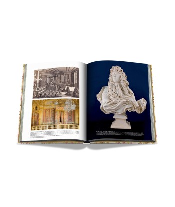 Book Versailles - From Louis XIV to Jeff Koons: Impossible collection Dans la société mordern