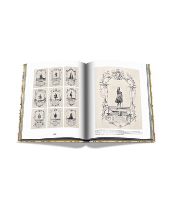 Book Versailles - From Louis XIV to Jeff Koons: Impossible collection Dans la société mordern