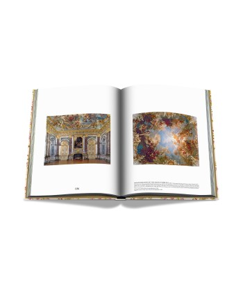 Book Versailles - From Louis XIV to Jeff Koons: Impossible collection Dans la société mordern