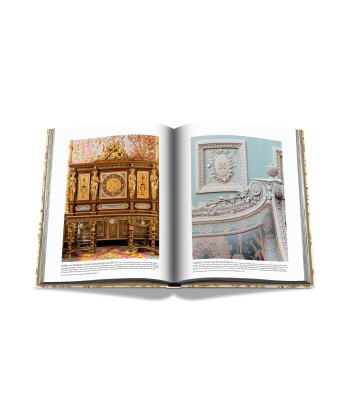 Book Versailles - From Louis XIV to Jeff Koons: Impossible collection Dans la société mordern