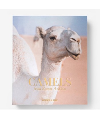 Camels from Saudi Arabia Vous souhaitez 