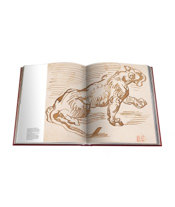 Cartier Panther book vous aussi creer 