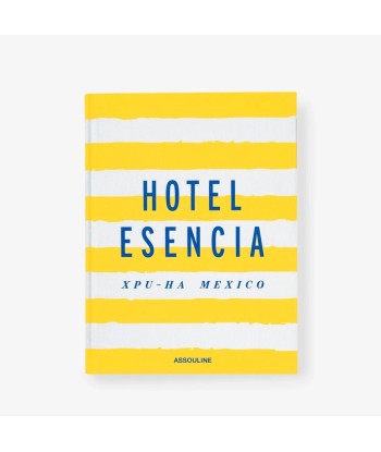 Livre Hotel Esencia online