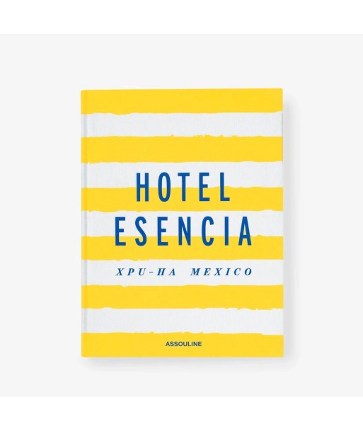 Livre Hotel Esencia online