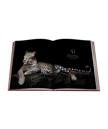 Cartier Panther book vous aussi creer 