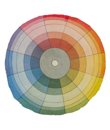 Color Wheel Multicolor Cushion de technologie