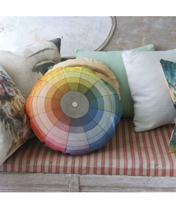 Color Wheel Multicolor Cushion de technologie