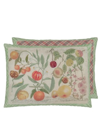 Oranges Canvas Cushion Les êtres humains sont 