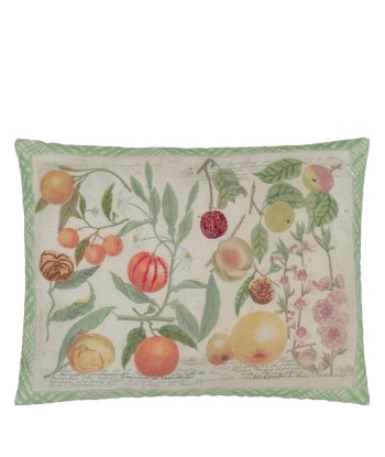 Oranges Canvas Cushion Les êtres humains sont 