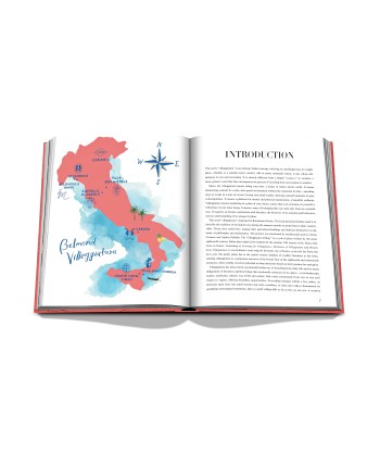 Book Villeggiatura: Italian Summer Vacation des créatures d'habitude