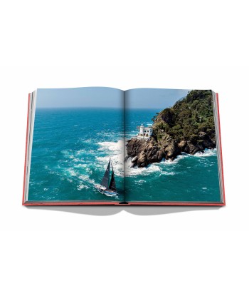 Book Villeggiatura: Italian Summer Vacation des créatures d'habitude