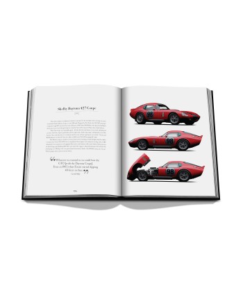 Book Iconic: Art, Design, Advertising, and the Automobile les muscles