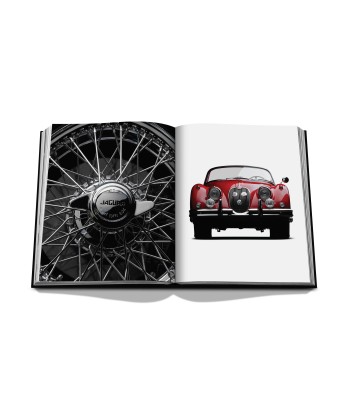 Book Iconic: Art, Design, Advertising, and the Automobile les muscles