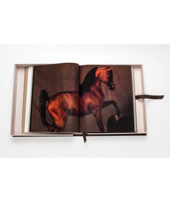 Livre Horses from Saudi Arabia la livraison gratuite