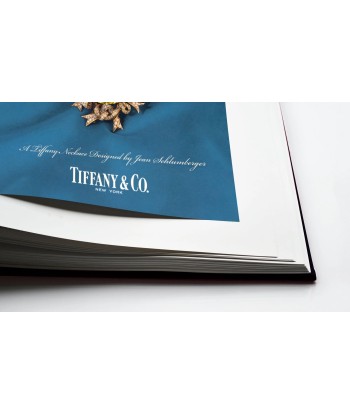 Book Tiffany &amp Co. Vision and Virtuosity (Ultimate Edition): Impossible Collection hantent personnes