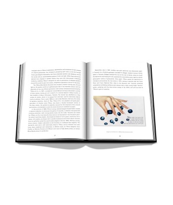 Book Tiffany &amp Co. Vision and Virtuosity (Ultimate Edition): Impossible Collection hantent personnes