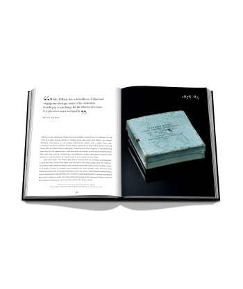 Book Tiffany &amp Co. Vision and Virtuosity (Ultimate Edition): Impossible Collection hantent personnes