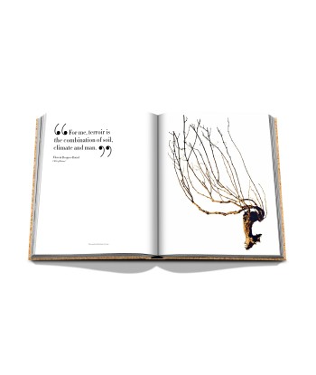 Book Champagne: Impossible Collection les ligaments